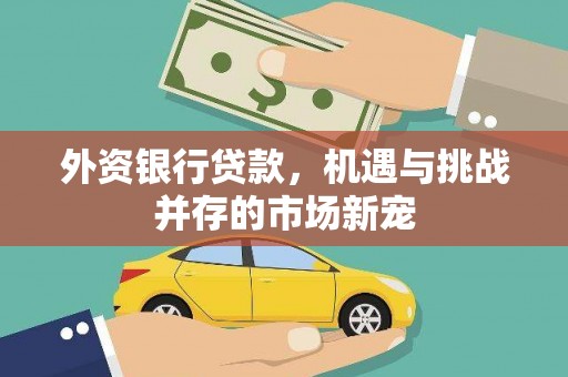 衡阳外资银行贷款，机遇与挑战并存的市场新宠