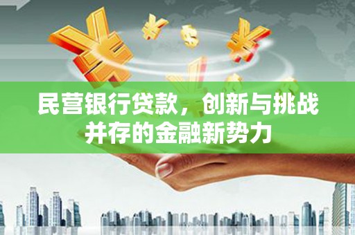衡阳民营银行贷款，创新与挑战并存的金融新势力
