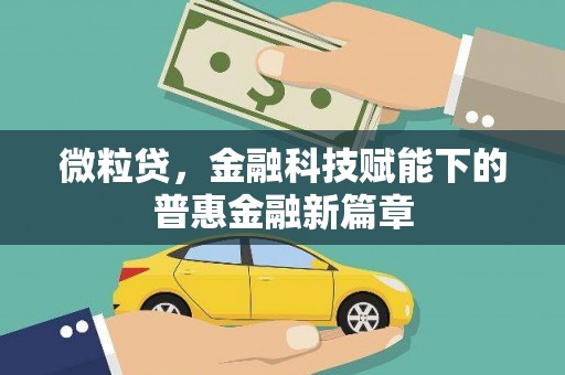衡阳微粒贷，金融科技赋能下的普惠金融新篇章