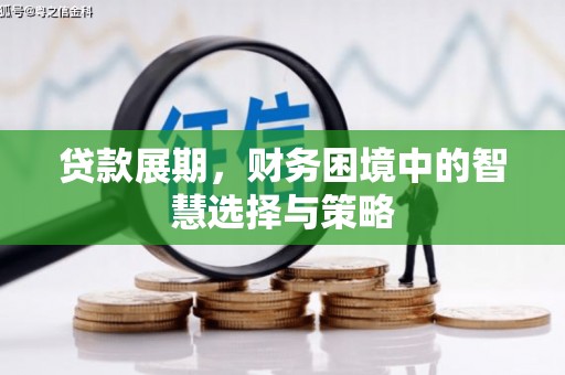 衡阳贷款展期，财务困境中的智慧选择与策略