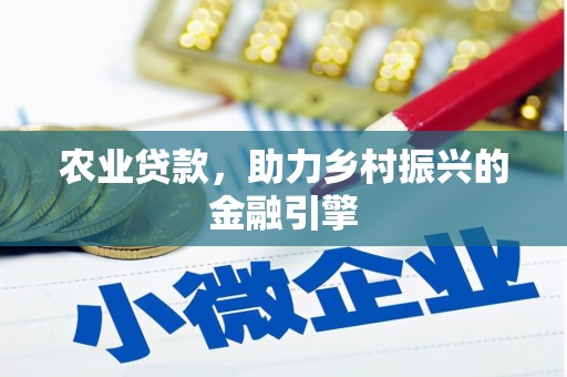 衡阳农业贷款，助力乡村振兴的金融引擎