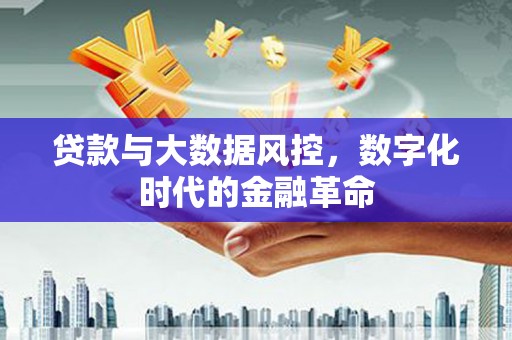 衡阳贷款与大数据风控，数字化时代的金融革命