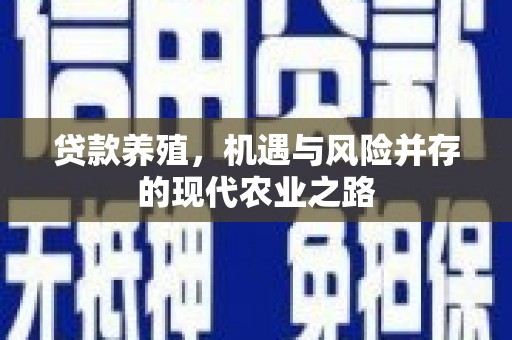 衡阳贷款养殖，机遇与风险并存的现代农业之路