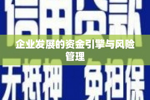 衡阳企业发展的资金引擎与风险管理