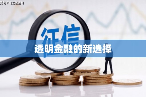 衡阳透明金融的新选择