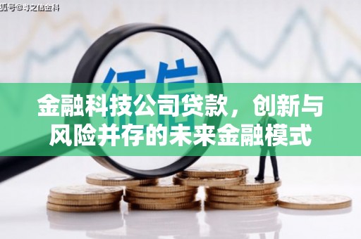 衡阳金融科技公司贷款，创新与风险并存的未来金融模式