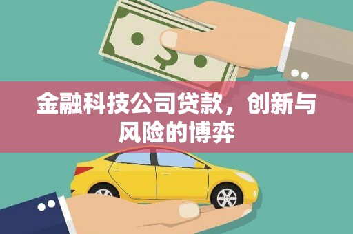 衡阳金融科技公司贷款，创新与风险的博弈