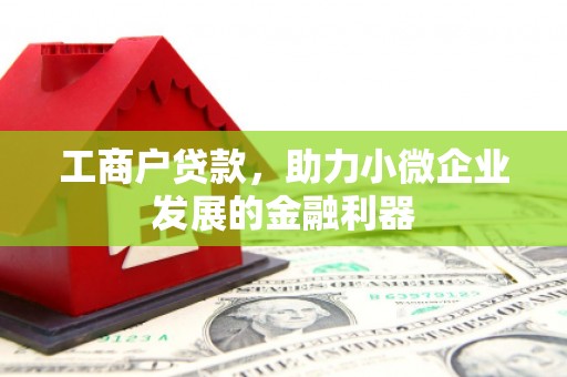 衡阳工商户贷款，助力小微企业发展的金融利器