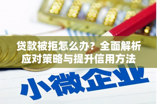 衡阳贷款被拒怎么办？全面解析应对策略与提升信用方法