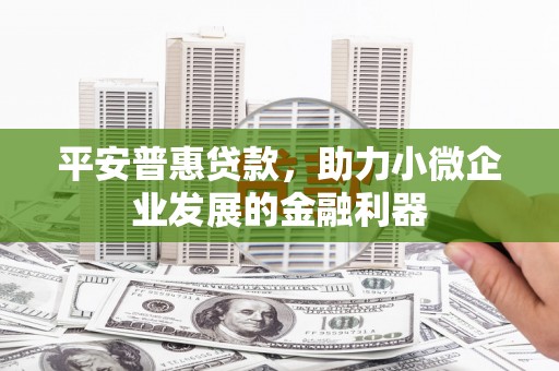 衡阳平安普惠贷款，助力小微企业发展的金融利器