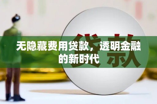 衡阳无隐藏费用贷款，透明金融的新时代