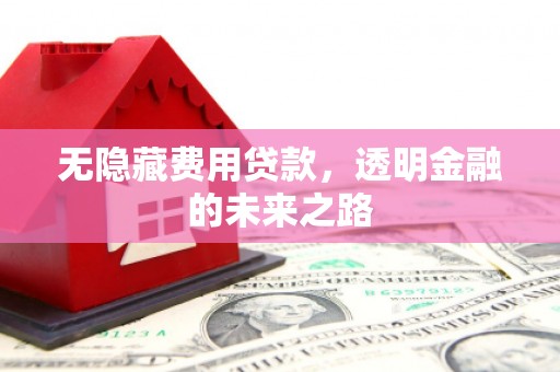 衡阳无隐藏费用贷款，透明金融的未来之路