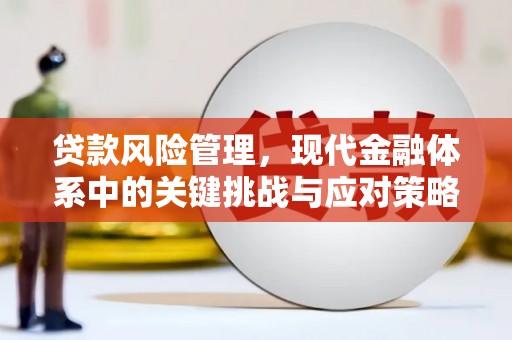 衡阳贷款风险管理，现代金融体系中的关键挑战与应对策略