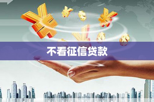 衡阳不看征信贷款