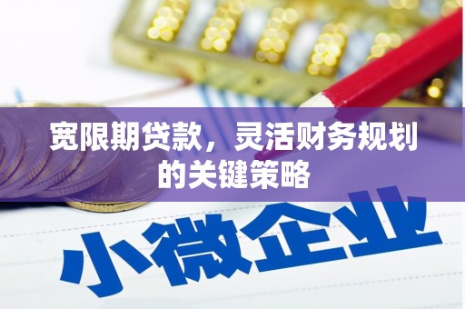 衡阳宽限期贷款，灵活财务规划的关键策略