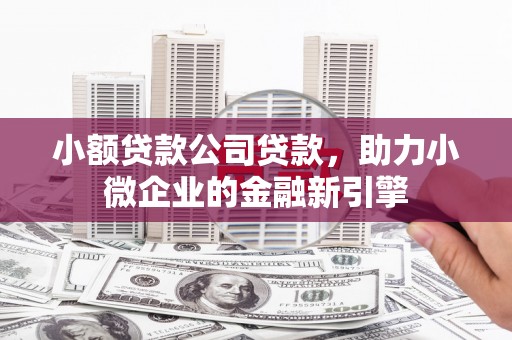 衡阳小额贷款公司贷款，助力小微企业的金融新引擎