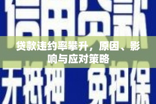 衡阳贷款违约率攀升，原因、影响与应对策略