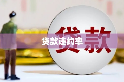 衡阳贷款违约率