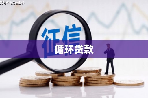 衡阳循环贷款