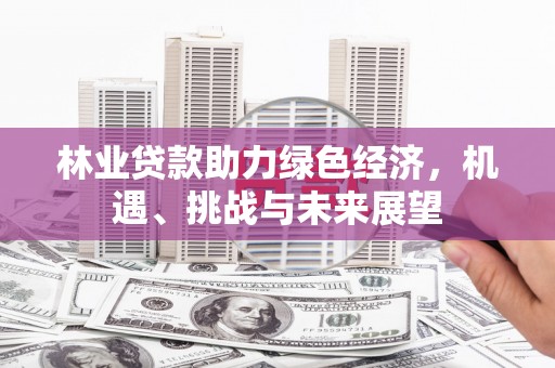 衡阳林业贷款助力绿色经济，机遇、挑战与未来展望