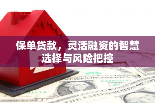 衡阳保单贷款，灵活融资的智慧选择与风险把控