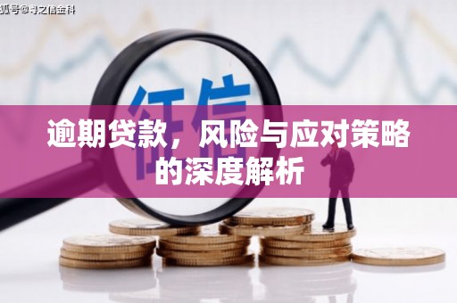 衡阳逾期贷款，风险与应对策略的深度解析