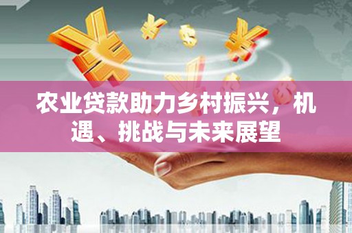 衡阳农业贷款助力乡村振兴，机遇、挑战与未来展望