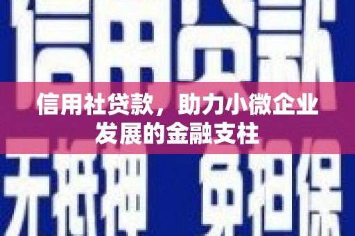 衡阳信用社贷款，助力小微企业发展的金融支柱