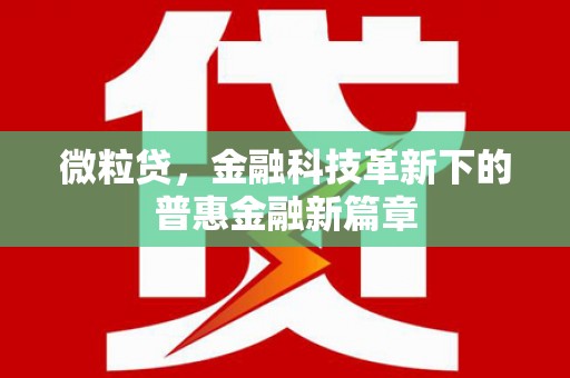 衡阳微粒贷，金融科技革新下的普惠金融新篇章