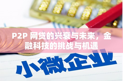 衡阳P2P 网贷的兴衰与未来，金融科技的挑战与机遇