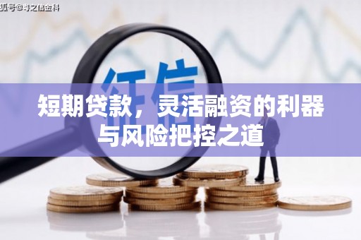 衡阳短期贷款，灵活融资的利器与风险把控之道