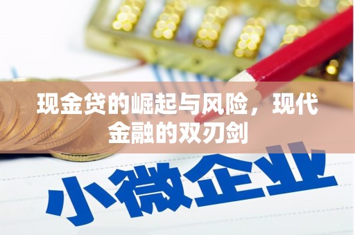 衡阳现金贷的崛起与风险，现代金融的双刃剑