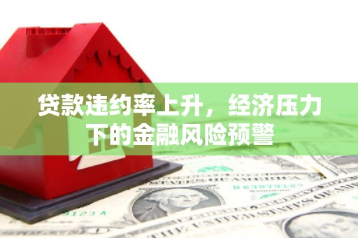 衡阳贷款违约率上升，经济压力下的金融风险预警