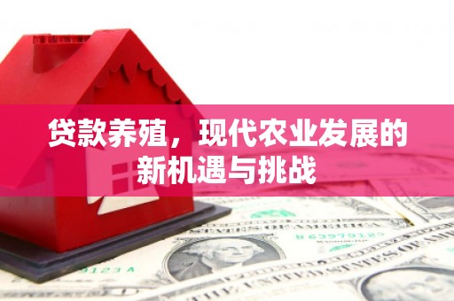 衡阳贷款养殖，现代农业发展的新机遇与挑战