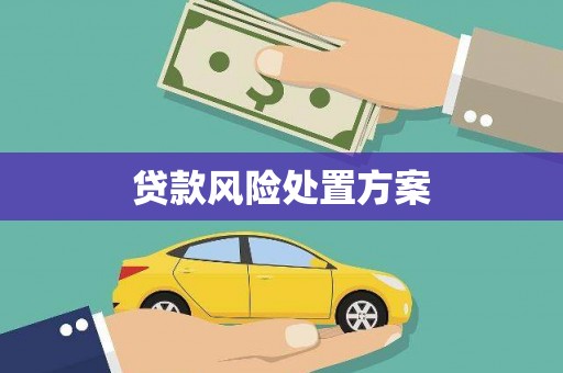 衡阳贷款风险处置方案