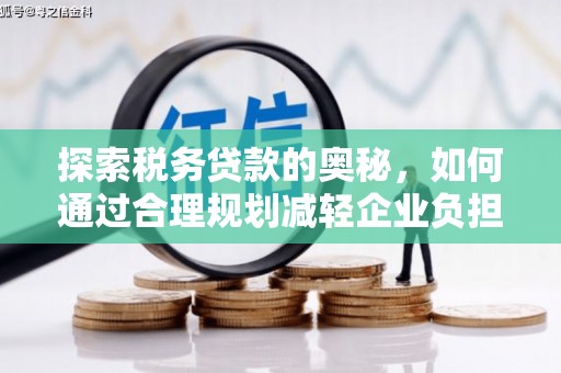 衡阳探索税务贷款的奥秘，如何通过合理规划减轻企业负担