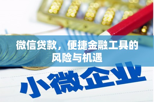 衡阳微信贷款，便捷金融工具的风险与机遇