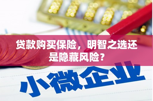 衡阳贷款购买保险，明智之选还是隐藏风险？