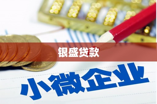衡阳银盛贷款
