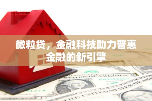 衡阳微粒贷，金融科技助力普惠金融的新引擎