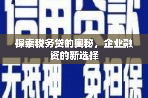衡阳探索税务贷的奥秘，企业融资的新选择