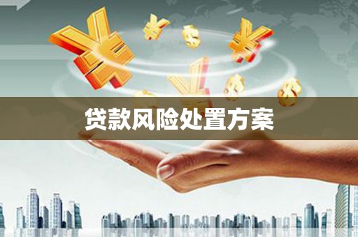 衡阳贷款风险处置方案