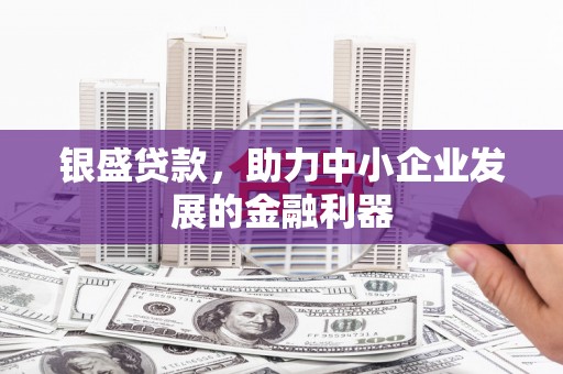 衡阳银盛贷款，助力中小企业发展的金融利器