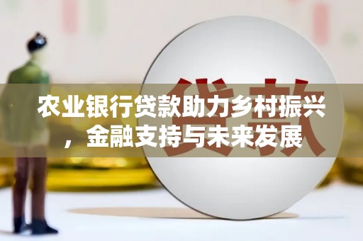 衡阳农业银行贷款助力乡村振兴，金融支持与未来发展