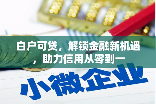 衡阳白户可贷，解锁金融新机遇，助力信用从零到一