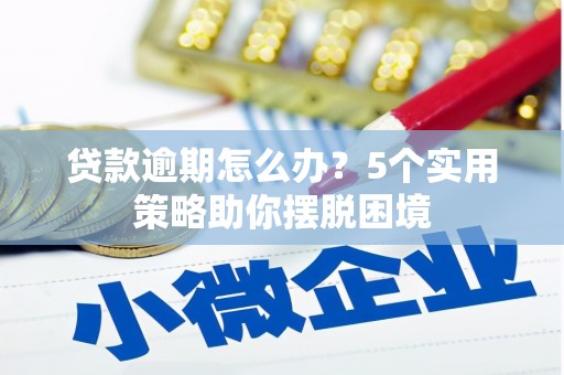 衡阳贷款逾期怎么办？5个实用策略助你摆脱困境