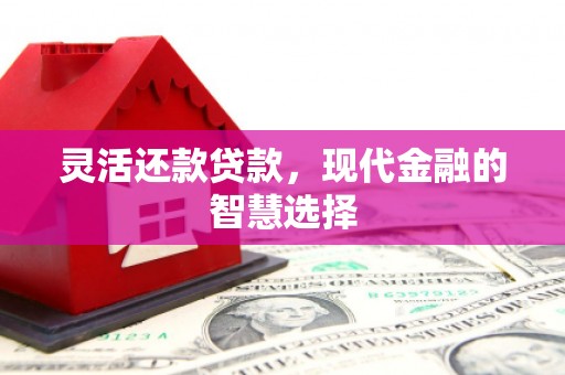 衡阳灵活还款贷款，现代金融的智慧选择