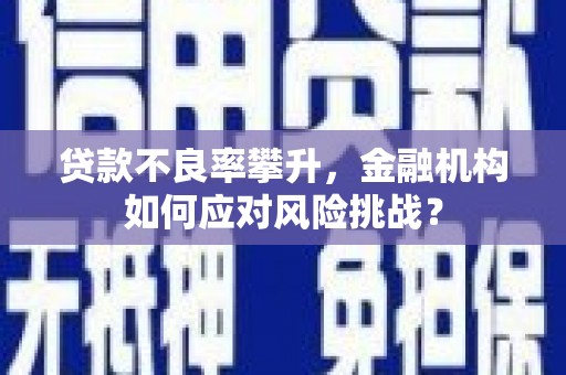 衡阳贷款不良率攀升，金融机构如何应对风险挑战？