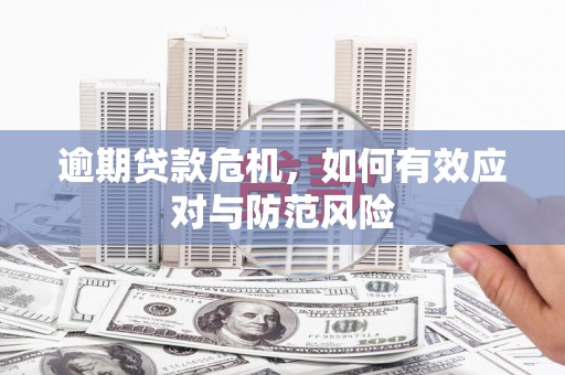衡阳逾期贷款危机，如何有效应对与防范风险