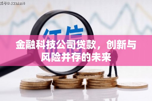 衡阳金融科技公司贷款，创新与风险并存的未来